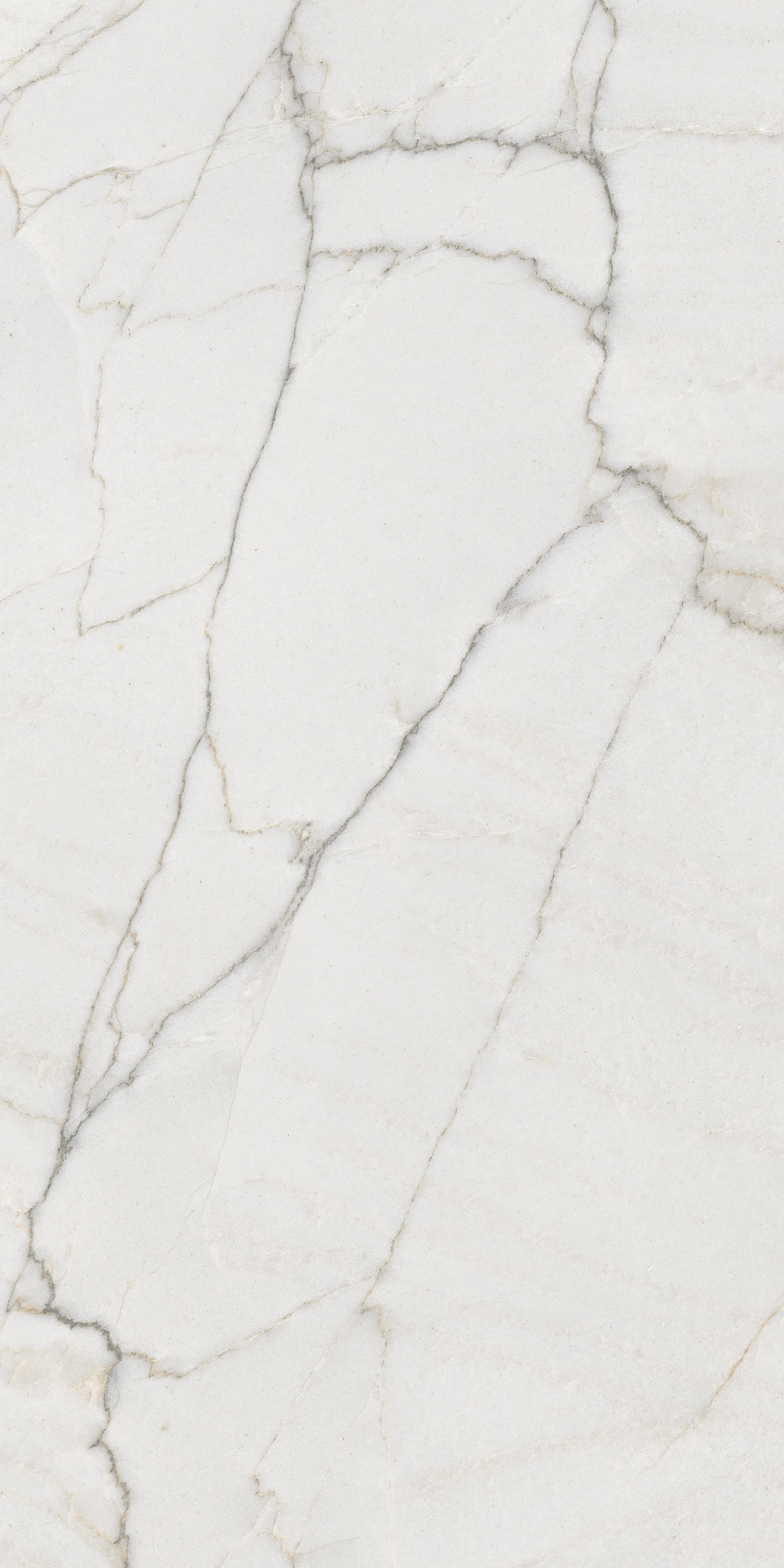 600×1200 mm Double Charge Vitrified Tile — 600x1200 mm