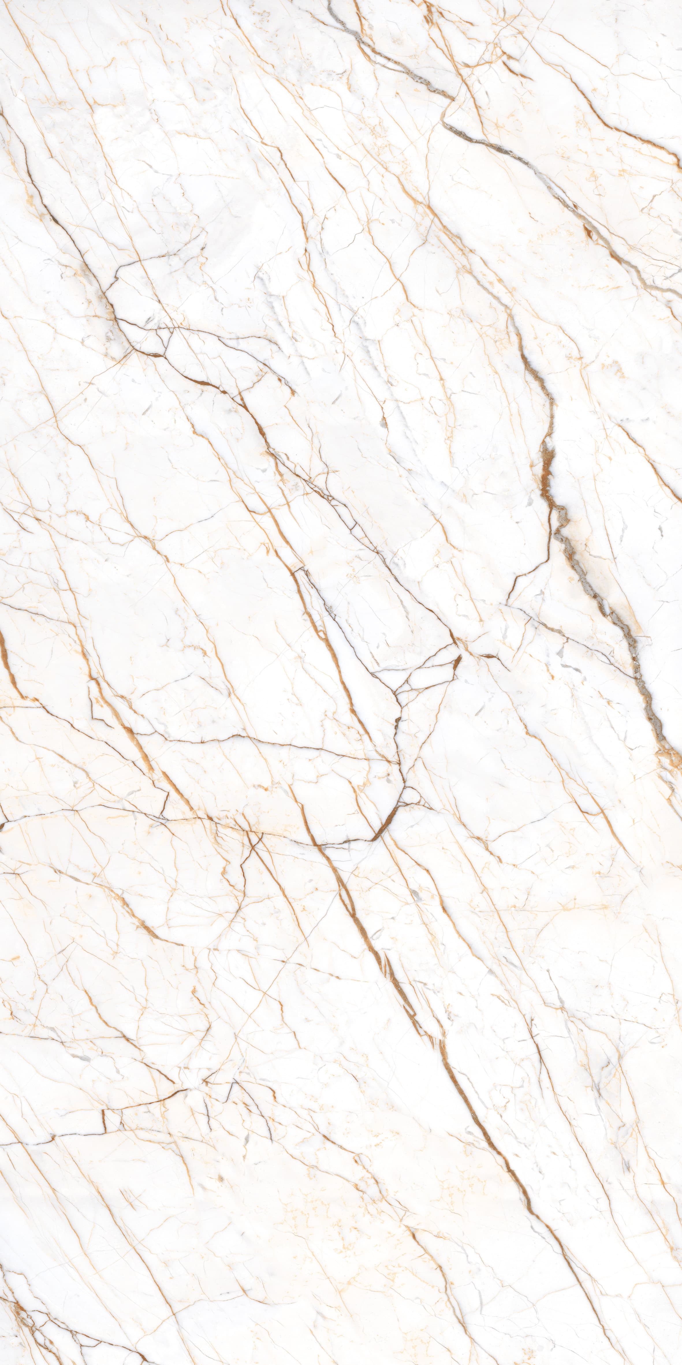 Prime Ceaser tile surface