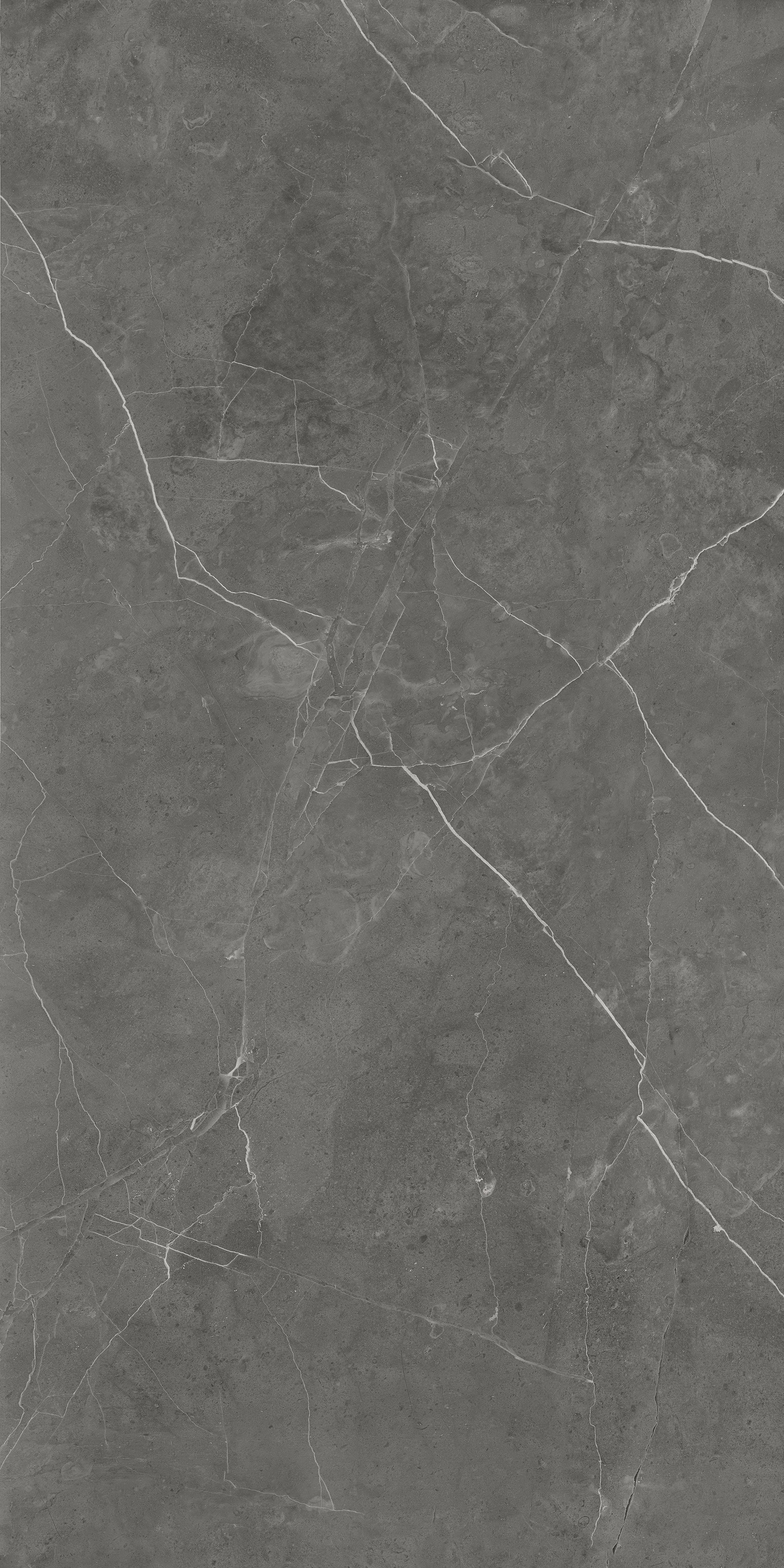 Vega Grey tile surface