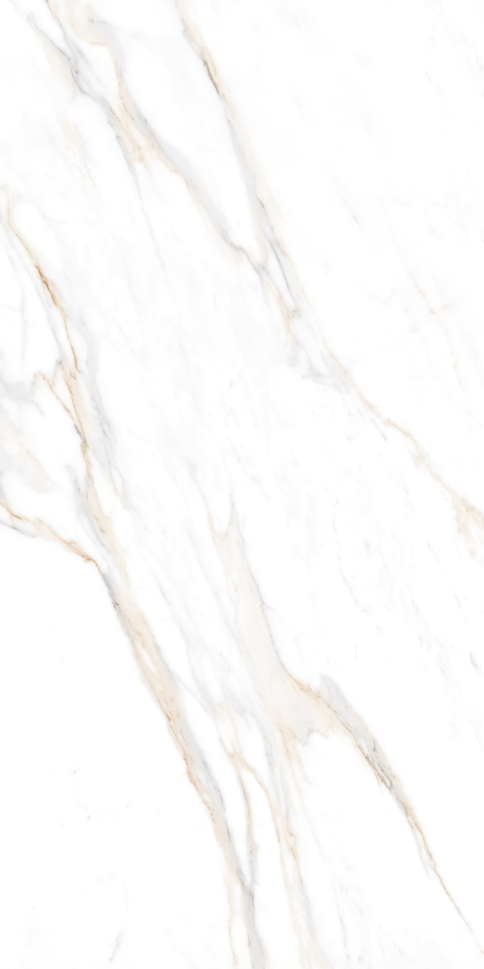 800×1600 mm GVT — 800x1600 mm