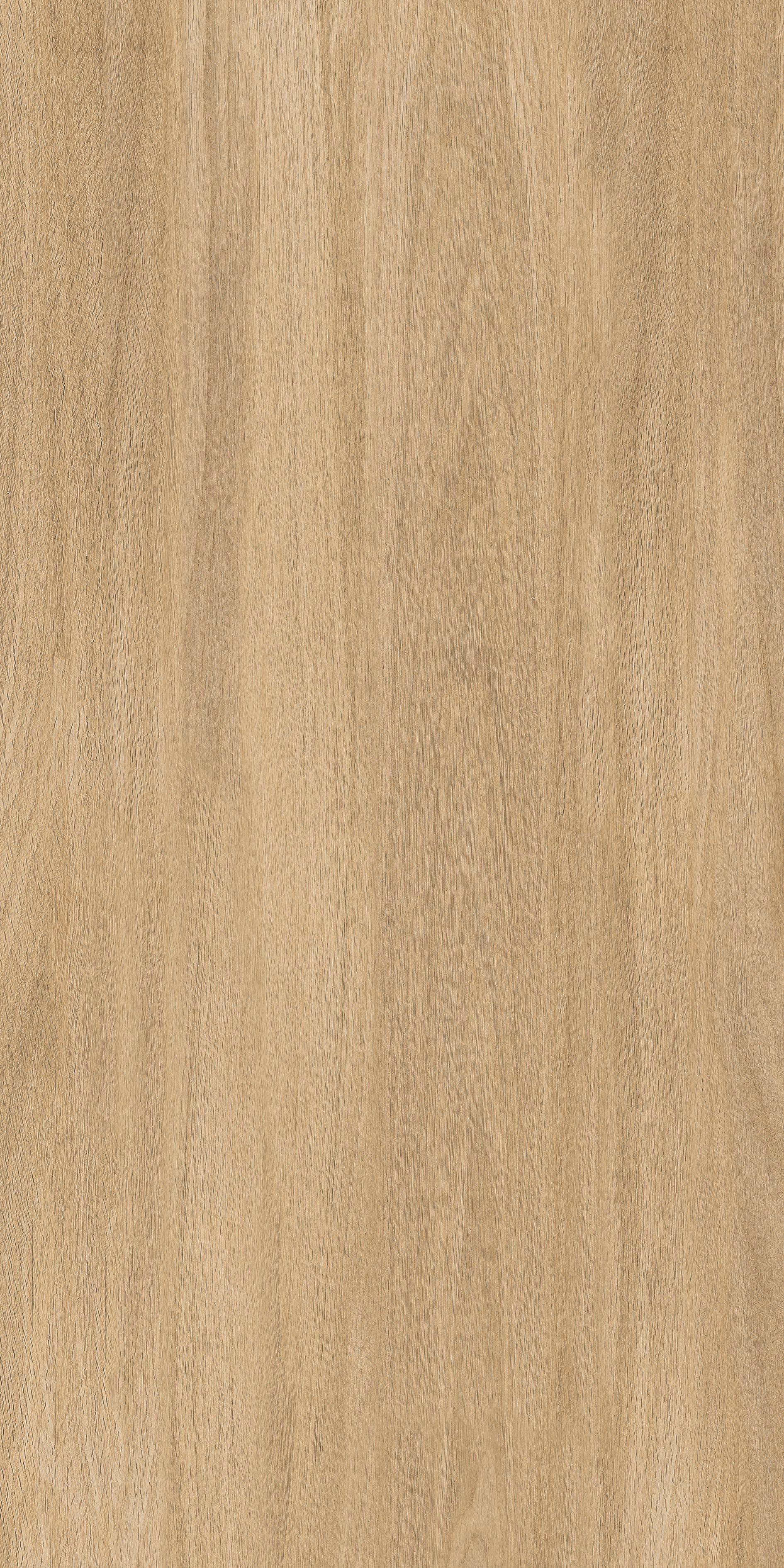 300×600 mm Porcelain Wall Tile — 300x600 mm