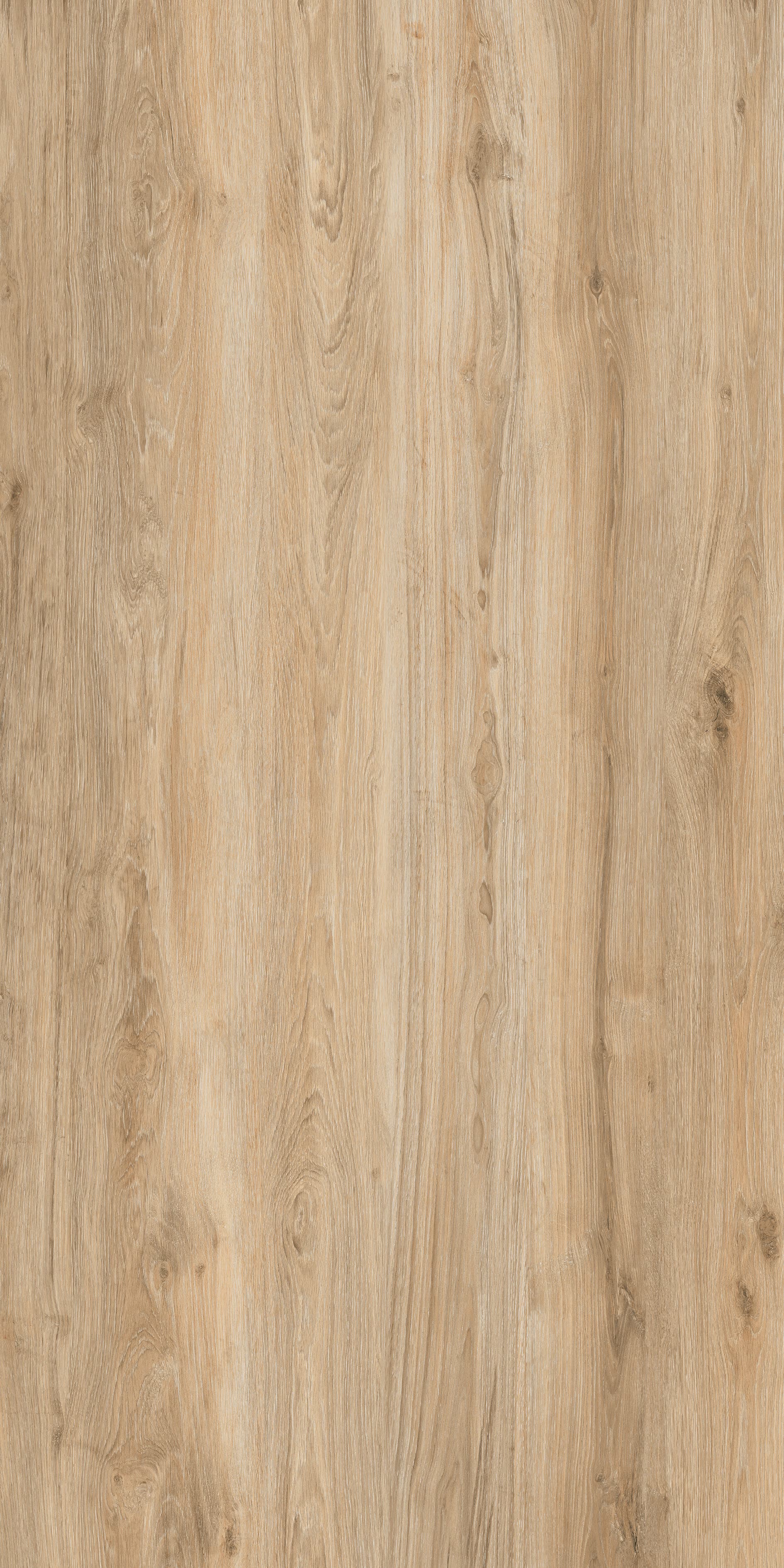 800×2400 mm Large Format Slab — 800x2400 mm